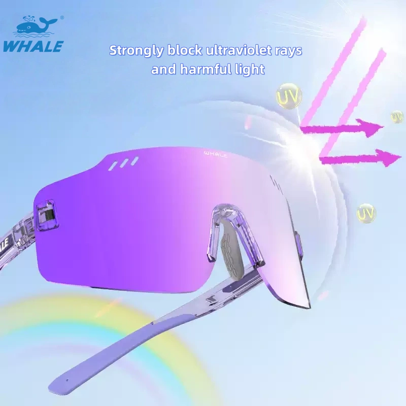 Riding gear cycling goggles