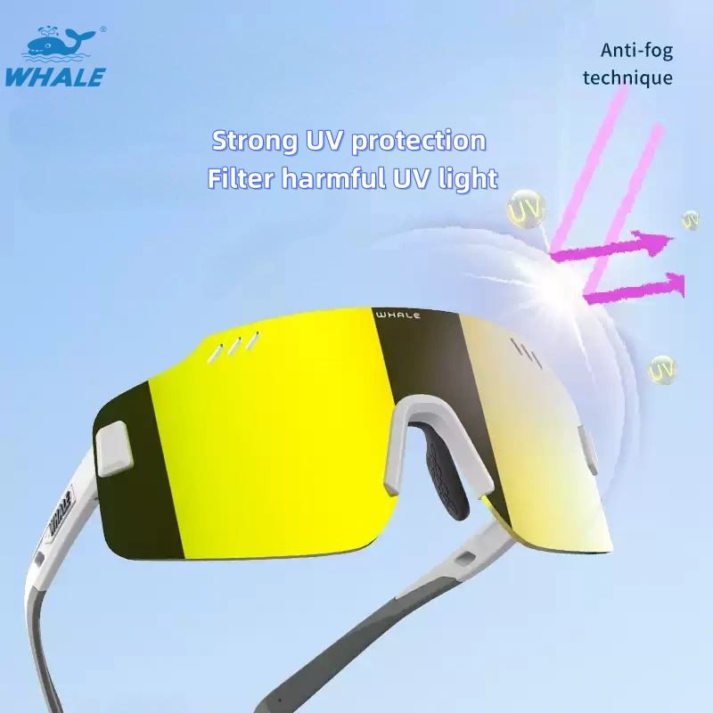 Lightweight Riding glasses